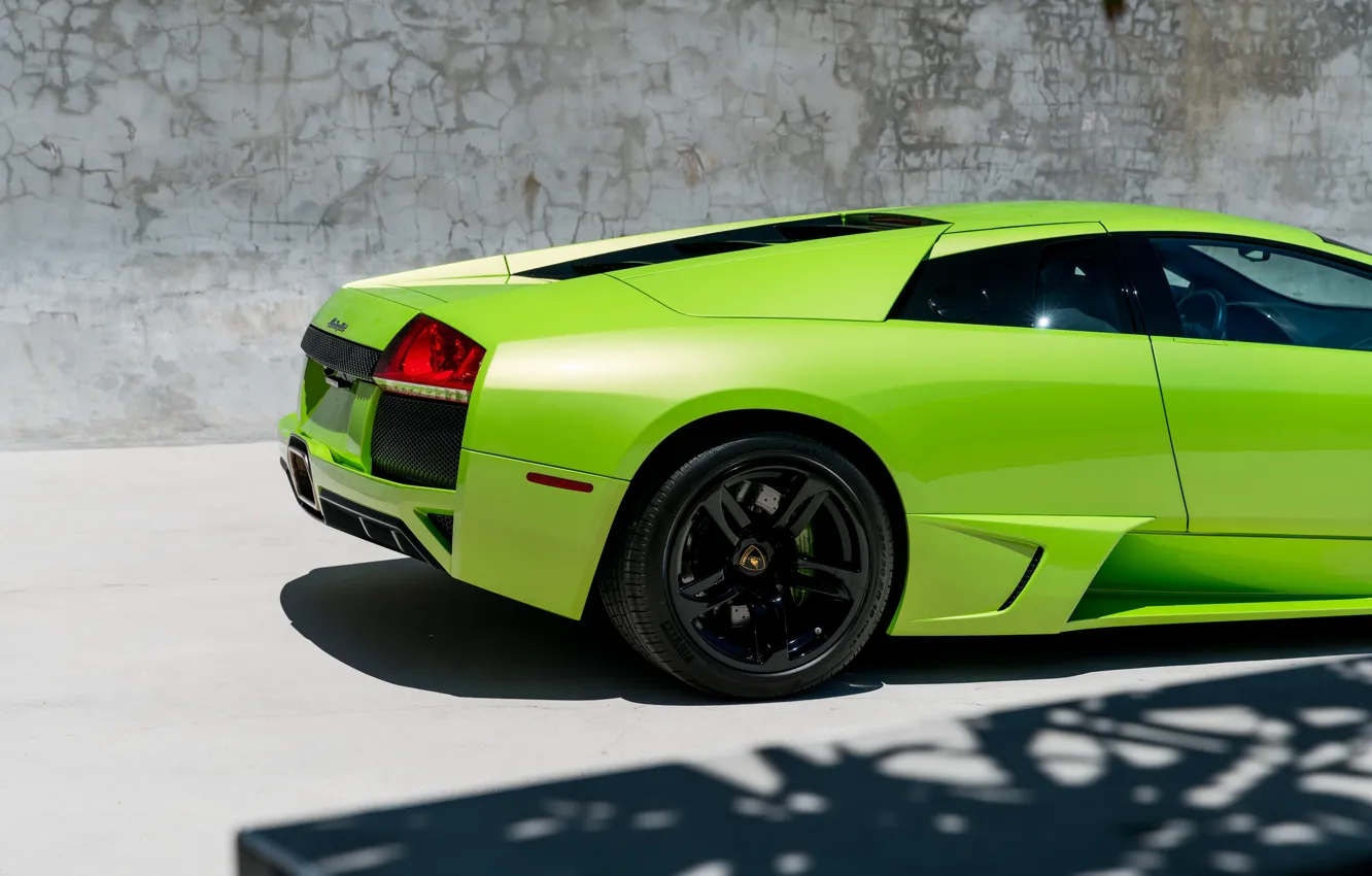 Фото обои зеленый, Lamborghini, Lamborghini Murcielago, Murcielago, задок