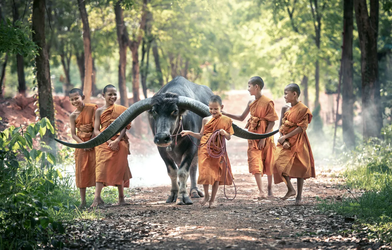 Фото обои nature, boy, asian, monk