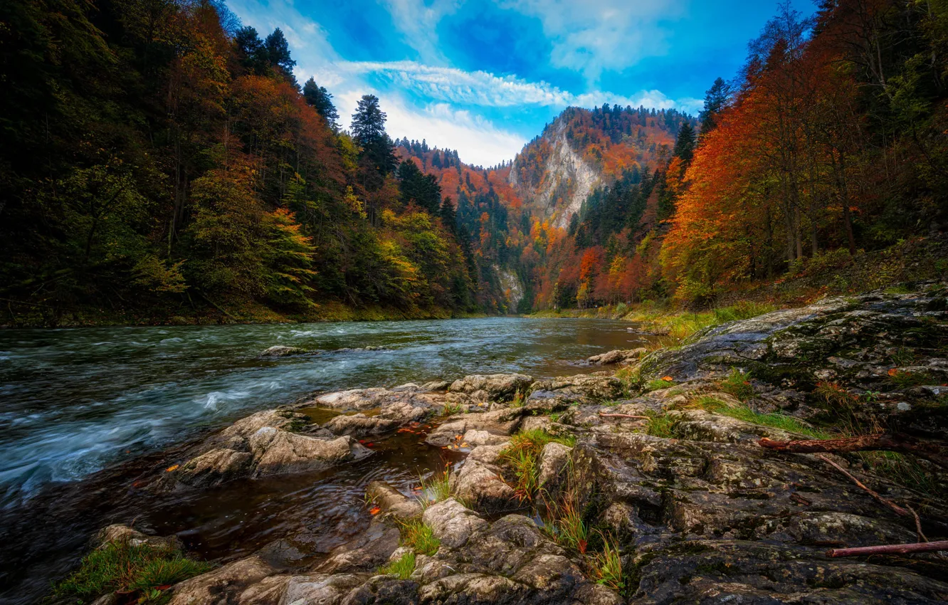 Фото обои осень, лес, горы, река, синева, камни, берег, течение