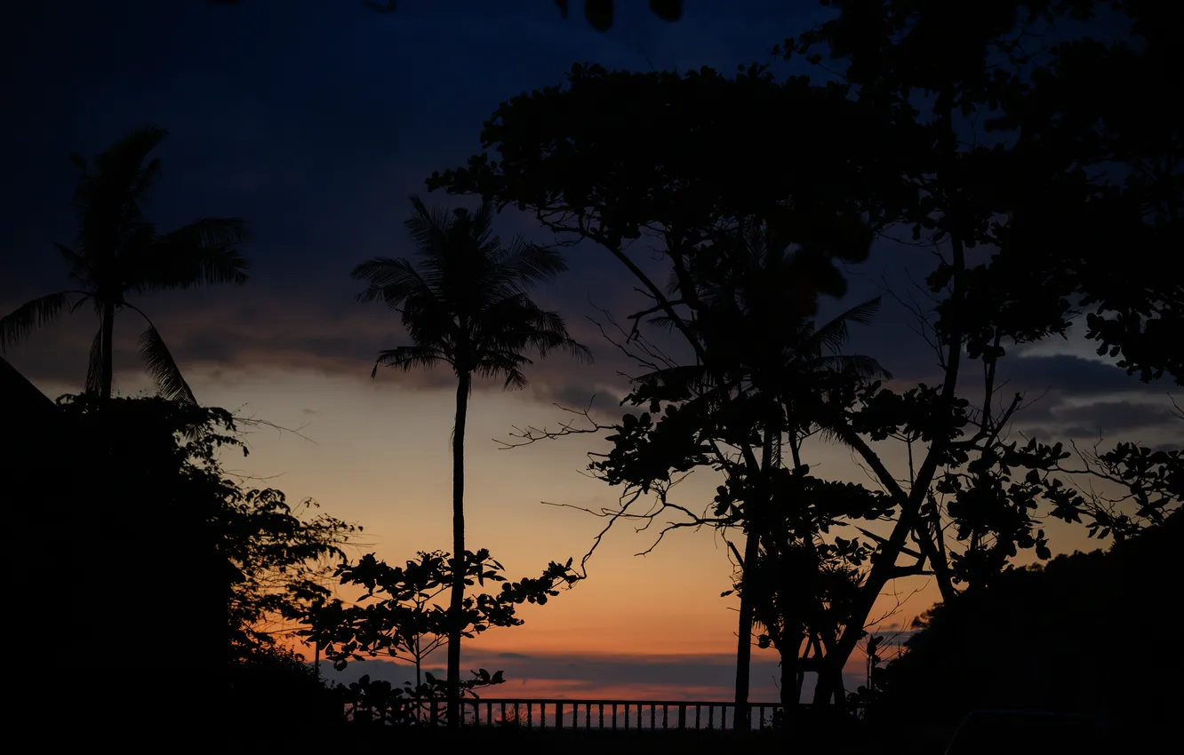 Фото обои море, закат, пальмы, Таиланд, sea, sunset, thailand, palms