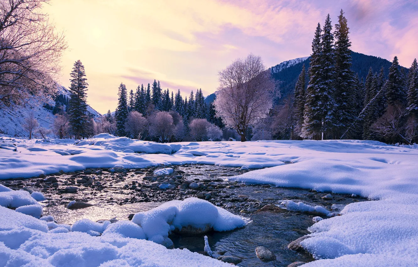 Фото обои зима, лес, снег, горы, камни, берег, сугробы, водоем