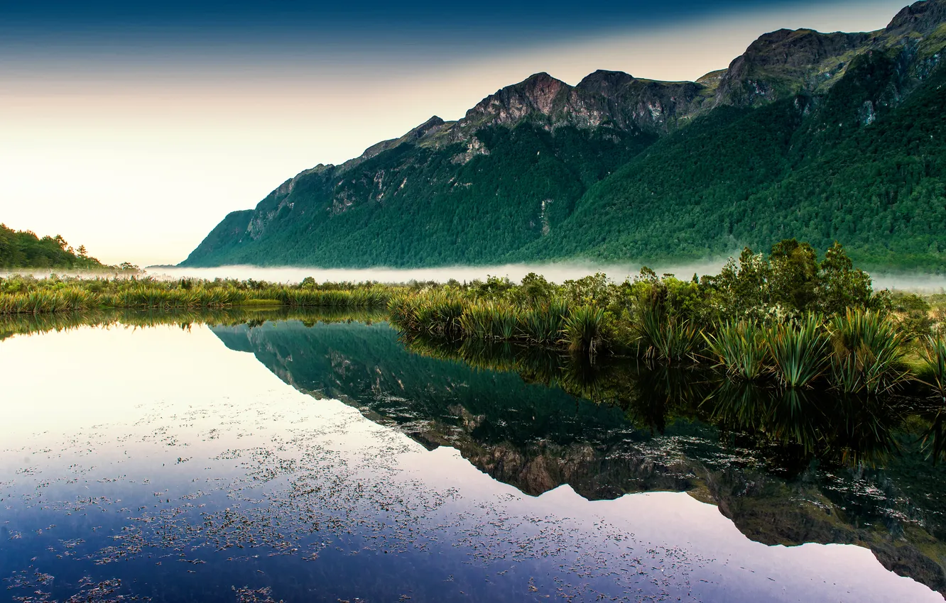 Фото обои вода, туман, озеро, отражение, растения, дымка, горы.