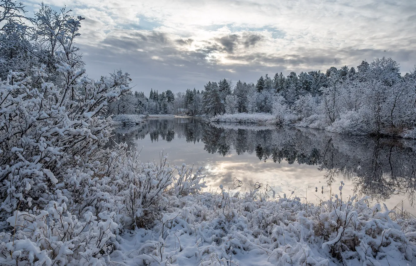 Фото обои зима, лес, снег, озеро, отражение, кусты, Финляндия, Finland