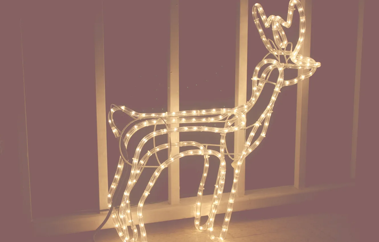 Фото обои лампа, новый год, рождество, олень, лампочки