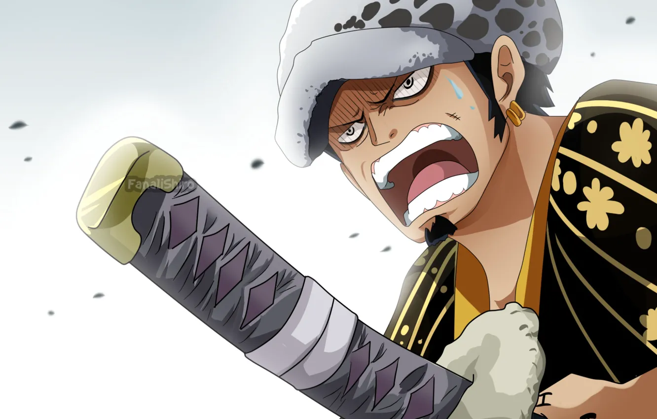 Фото обои шапка, меч, парень, One Piece, крик, Ван Пис
