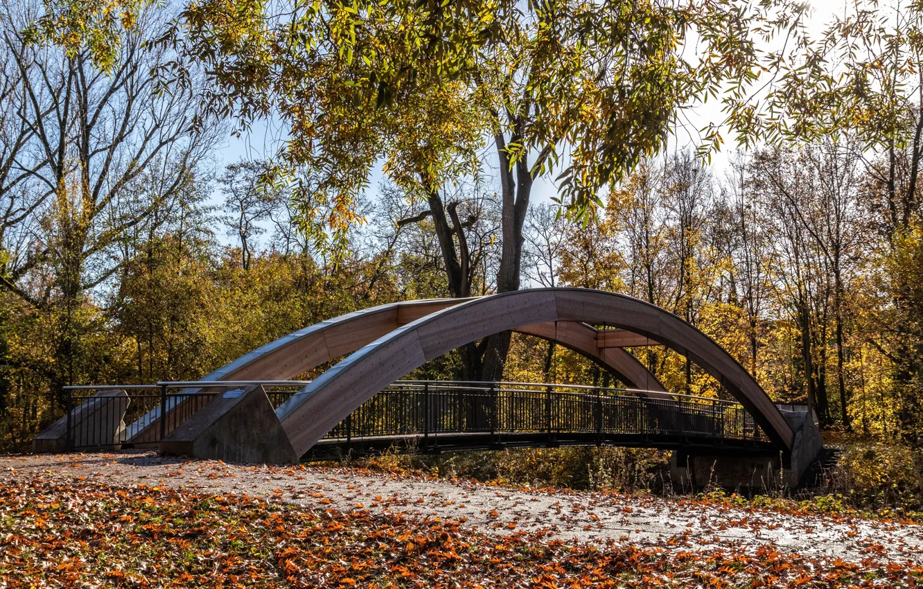 Фото обои осень, листья, солнце, деревья, мост, парк, Германия, жёлтые