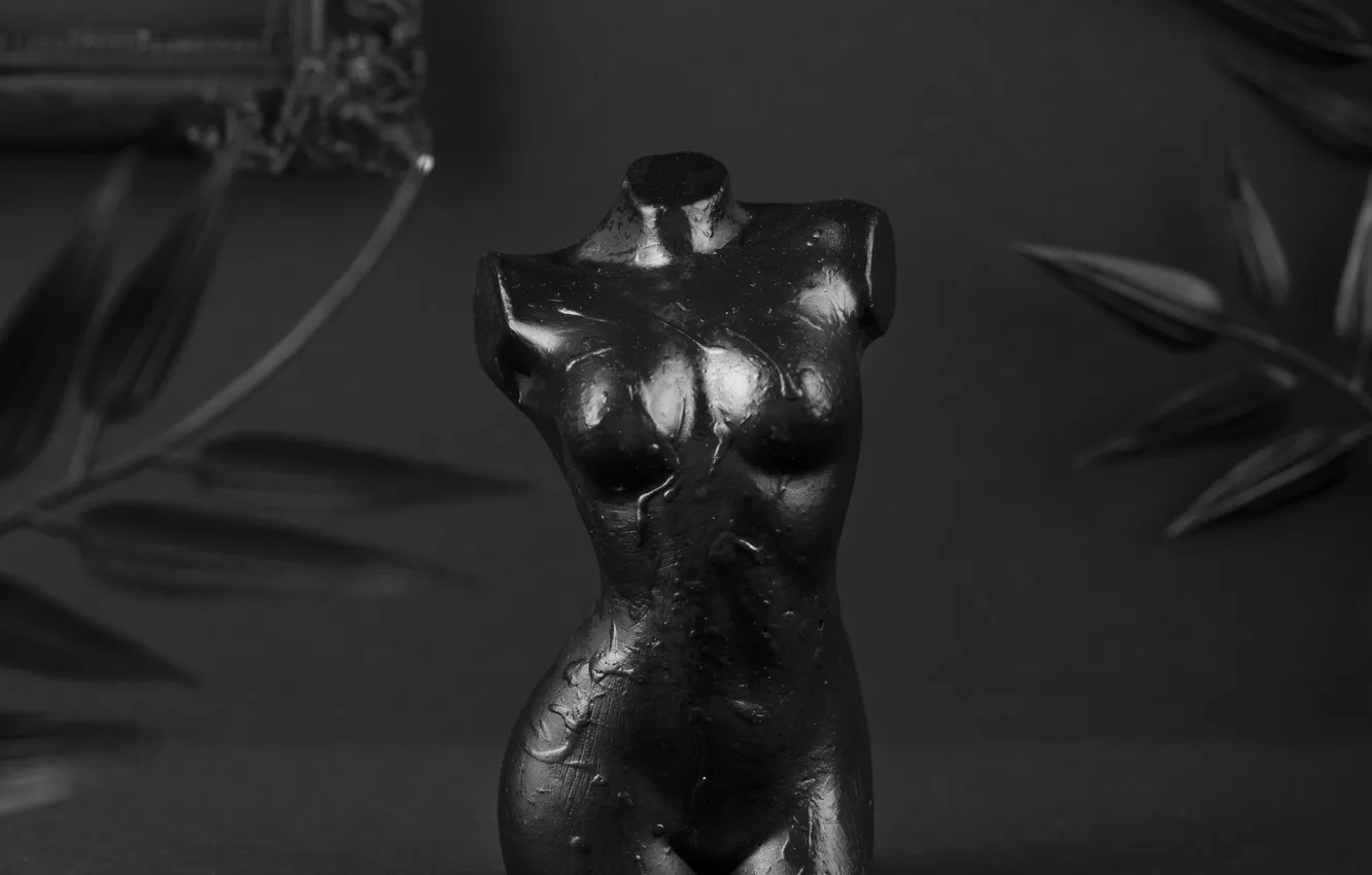 Фото обои грудь, листья, темный фон, тело, рама, блеск, минимализм, растения