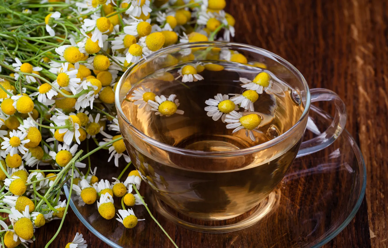 Фото обои цветы, чай, ромашка, напиток