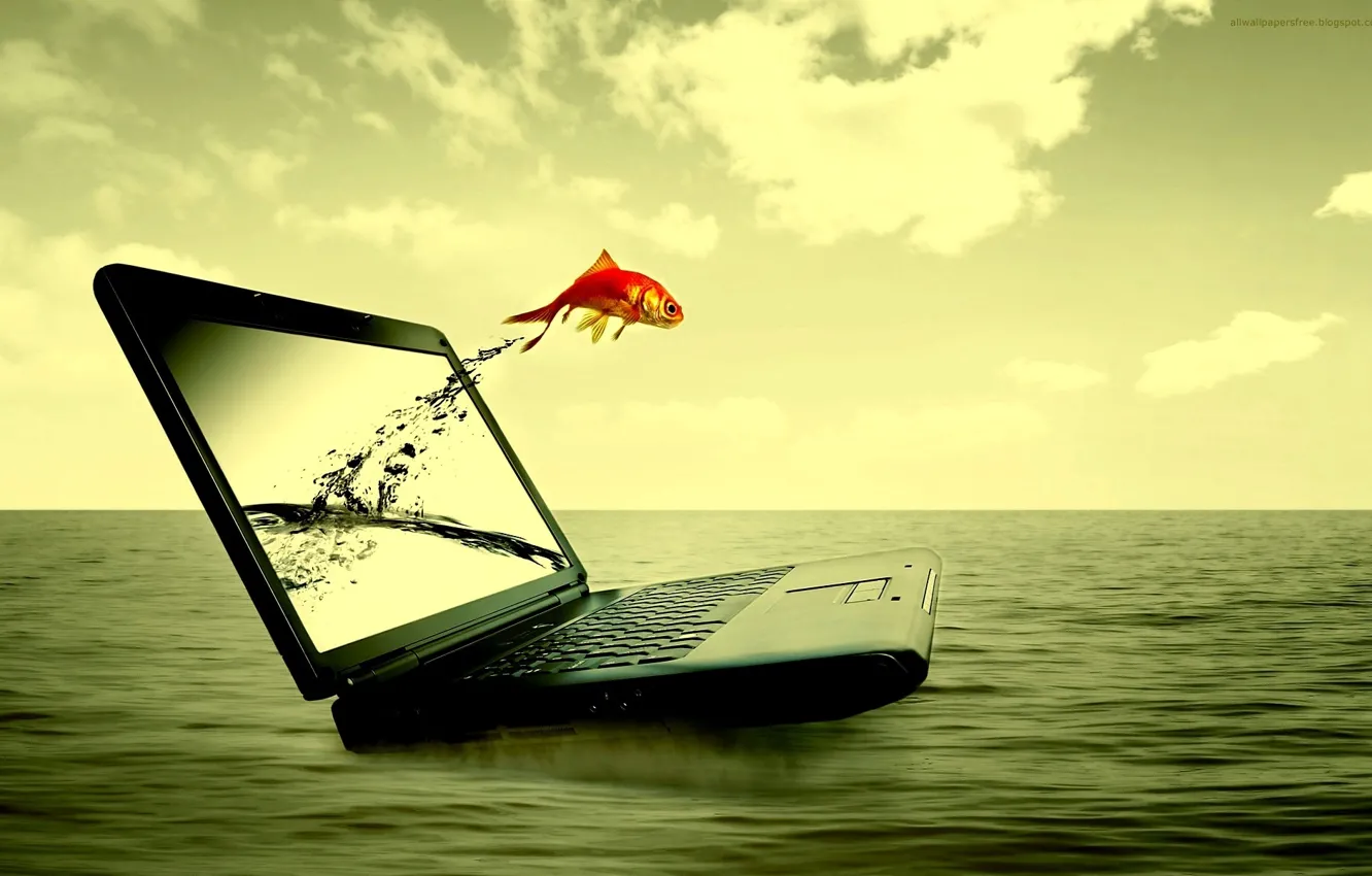 Фото обои море, вода, рыбка, ноутбук