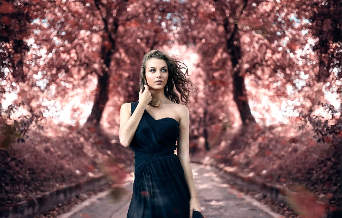 Фото обои осень, макияж, прелесть, Alessandro Di Cicco, Touch me gently