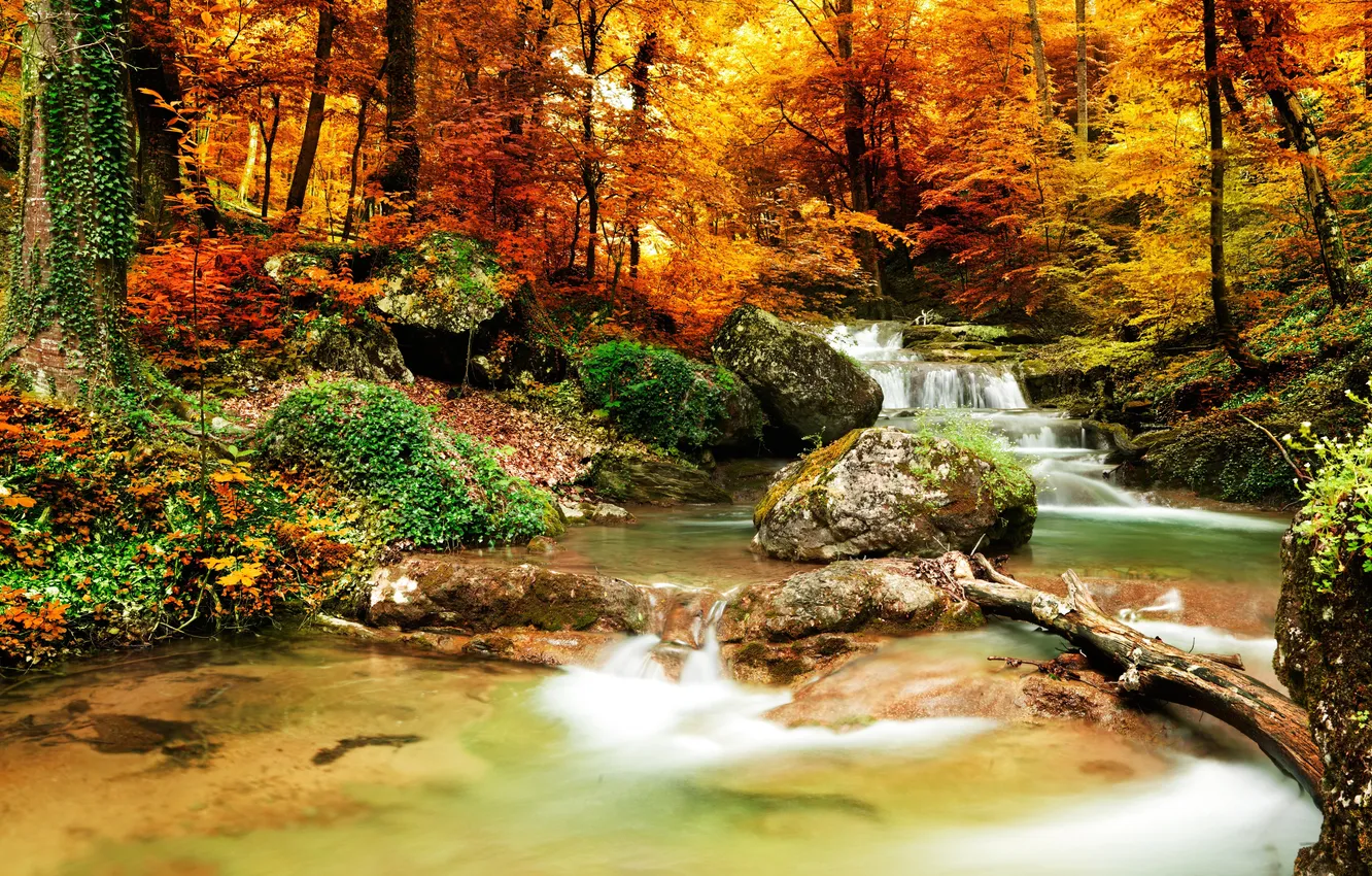 Фото обои осень, лес, деревья, пейзаж, природа, река, водопад, forest