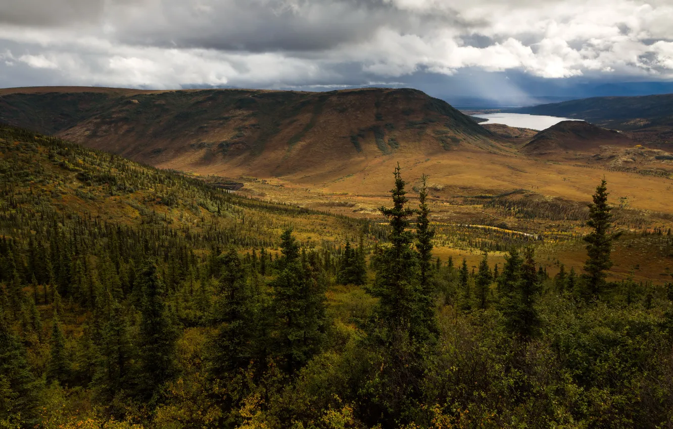 Фото обои пейзаж, горы, природа, парк, фото, ель, США, Alaska