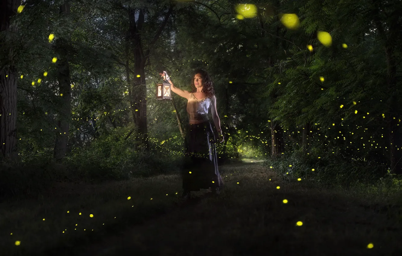 Фото обои лес, девушка, волшебство, магия, огоньки, фонарик