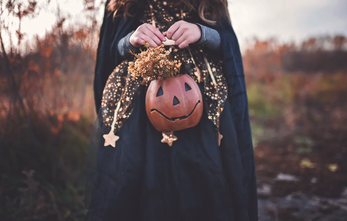 Фото обои осень, девушка, Хэллоуин, ведьма, светильник Джека