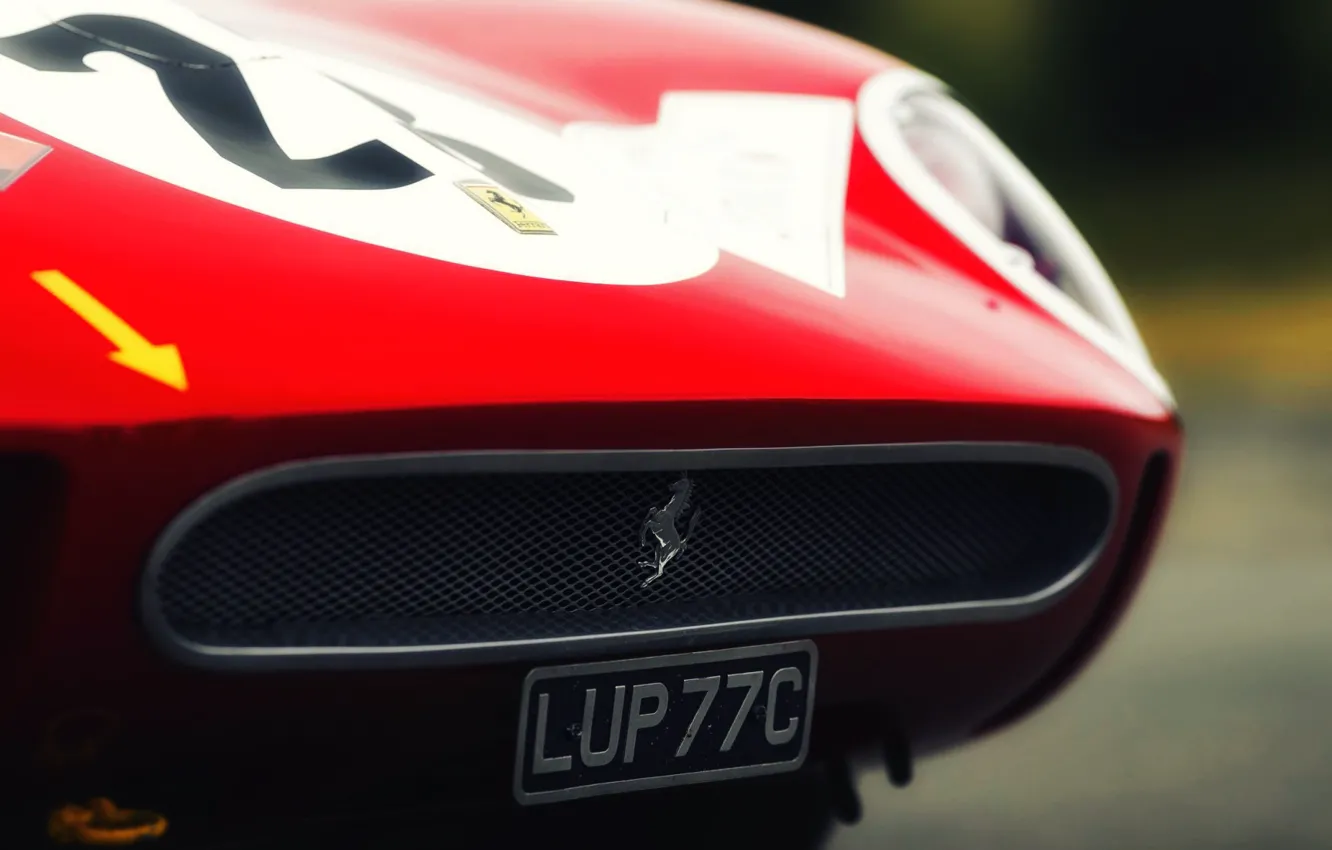 Фото обои Авто, Ретро, Машина, Феррари, Ferrari, Logo, GTO, 250