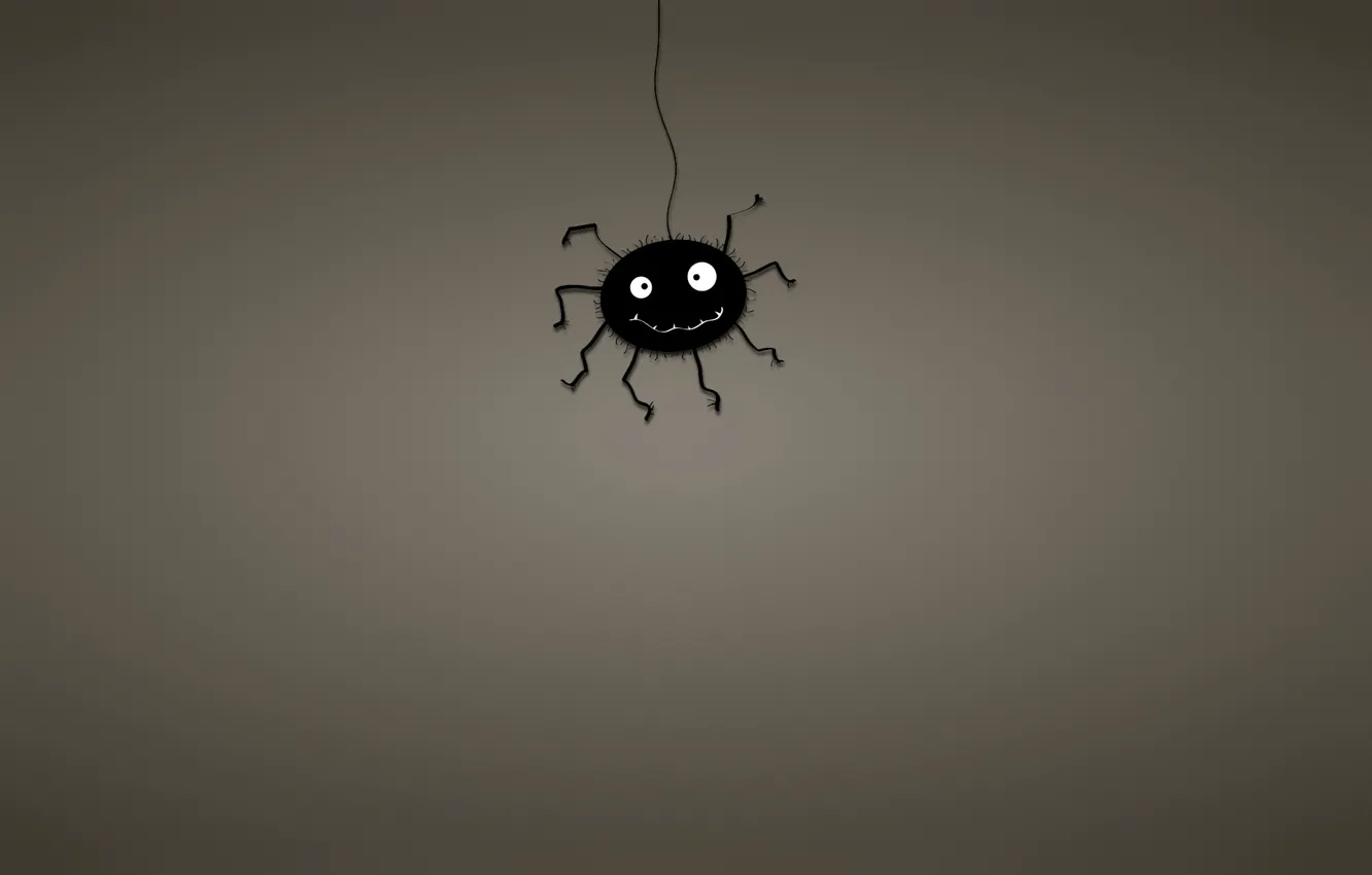 Фото обои черный, минимализм, паутина, паук, spider, темноватый фон