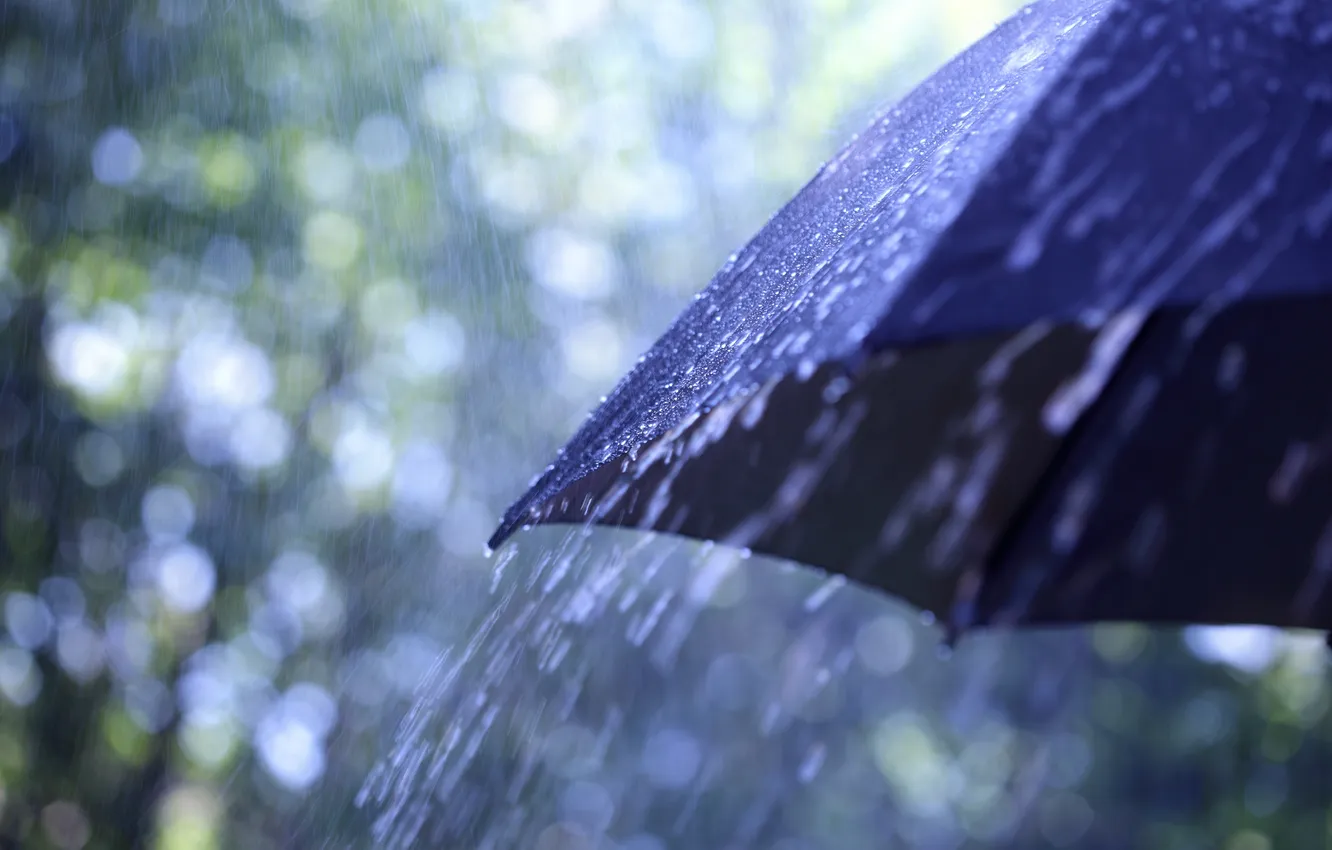 Фото обои макро, зонтик, дождь, капли. погода