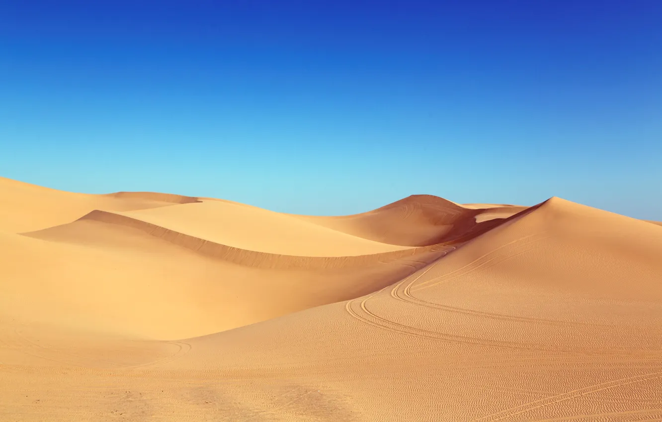 Фото обои california, beach, coast, usa, grassland, sunlight, desert landscape