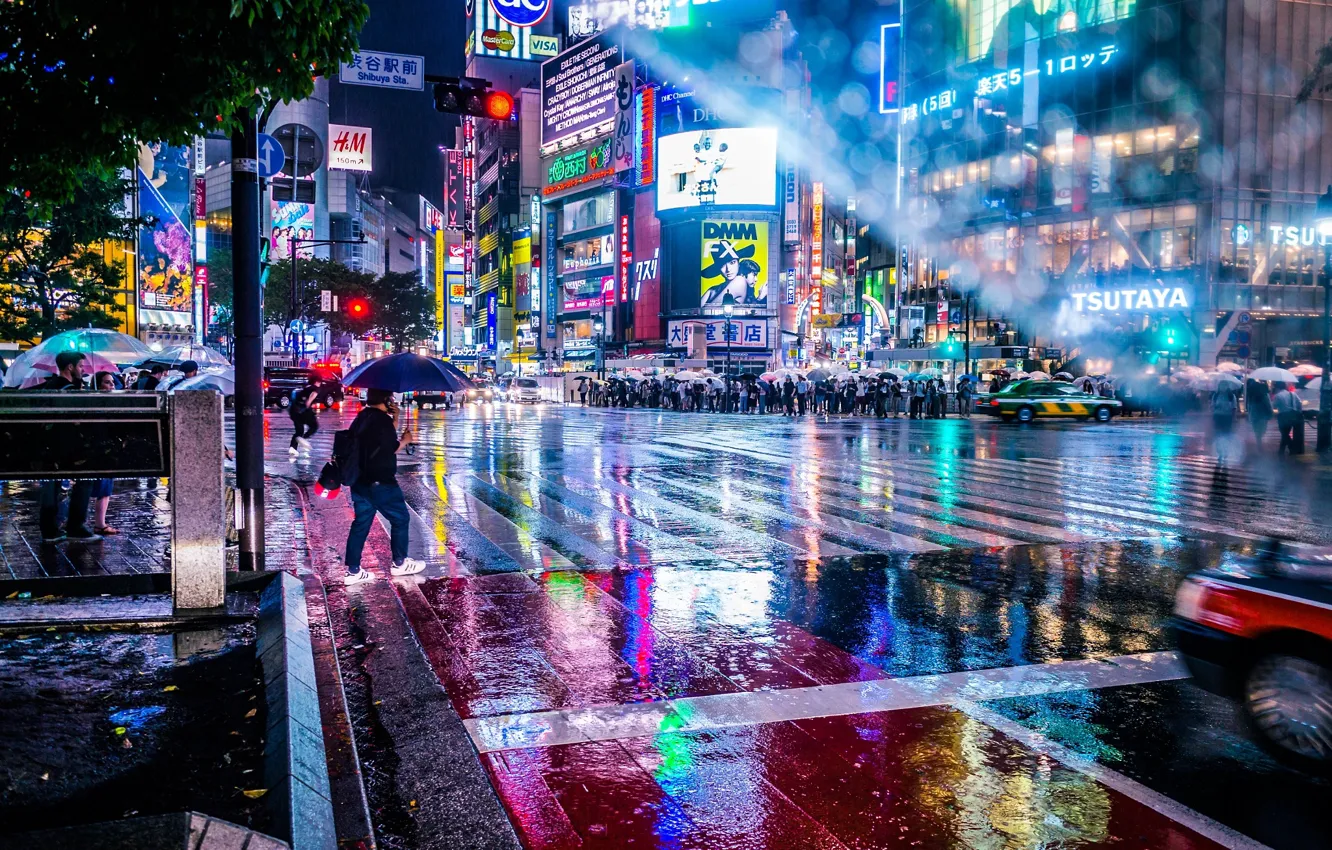 Фото обои мокро, свет, город, огни, люди, дождь, улица, зонт