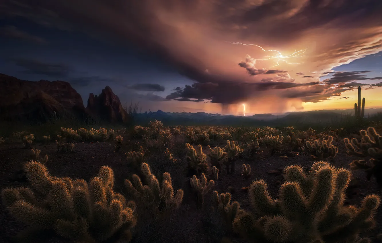 Фото обои тучи, шторм, молнии, пустыня, кактусы