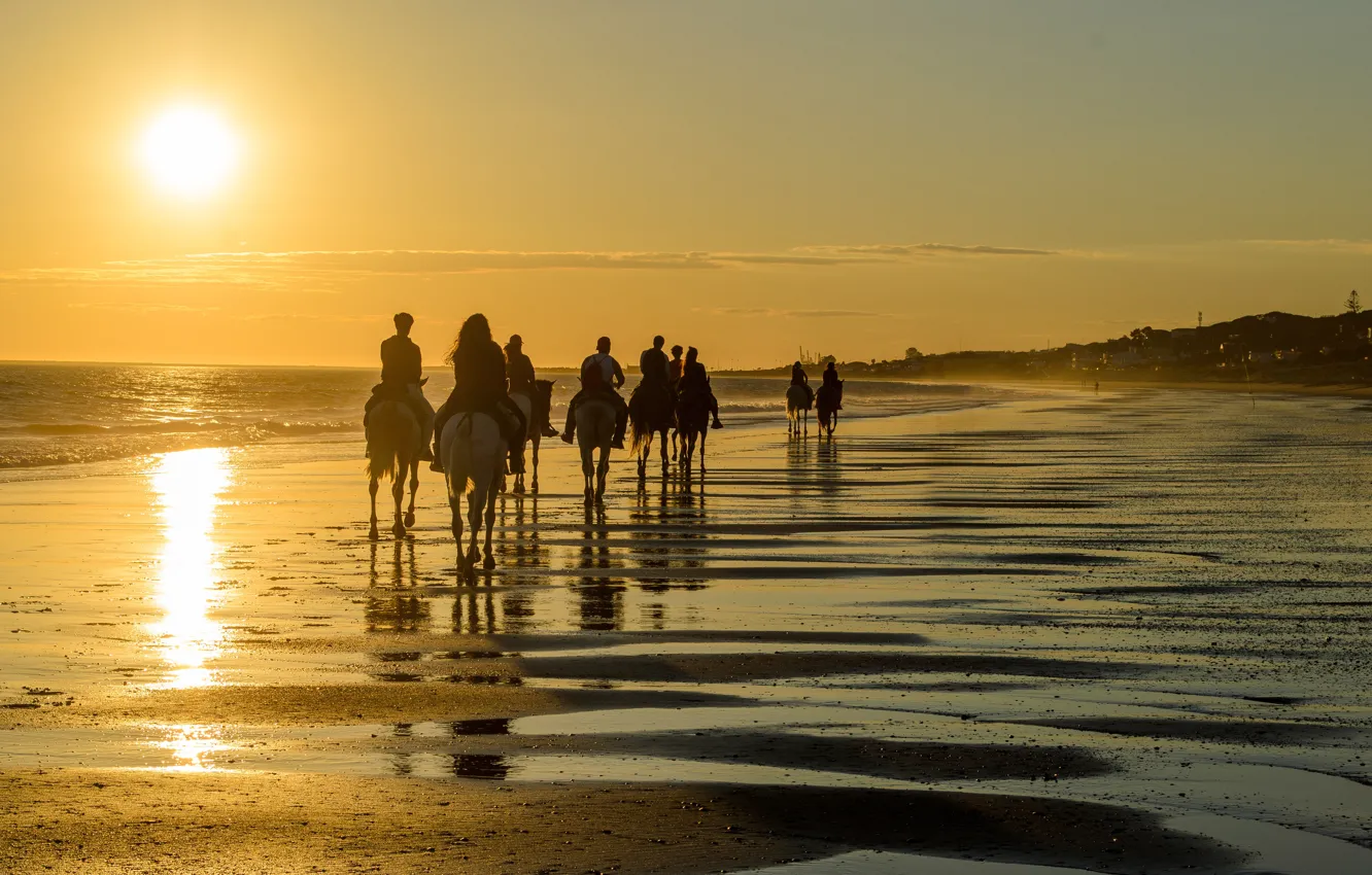 Фото обои beach, ocean, people, tourism, camels