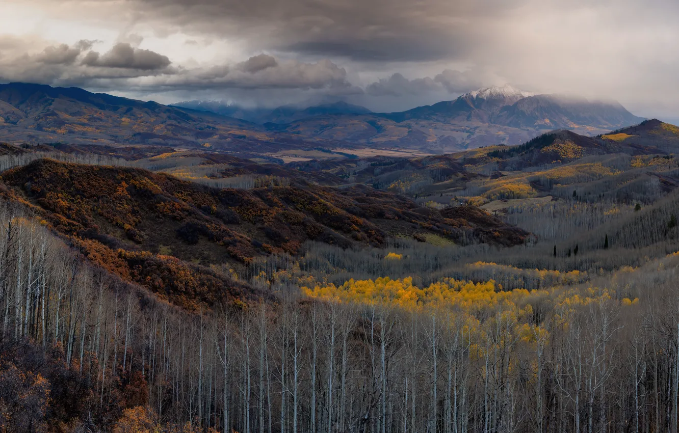 Фото обои осень, лес, облака, деревья, горы, холмы, склоны, даль