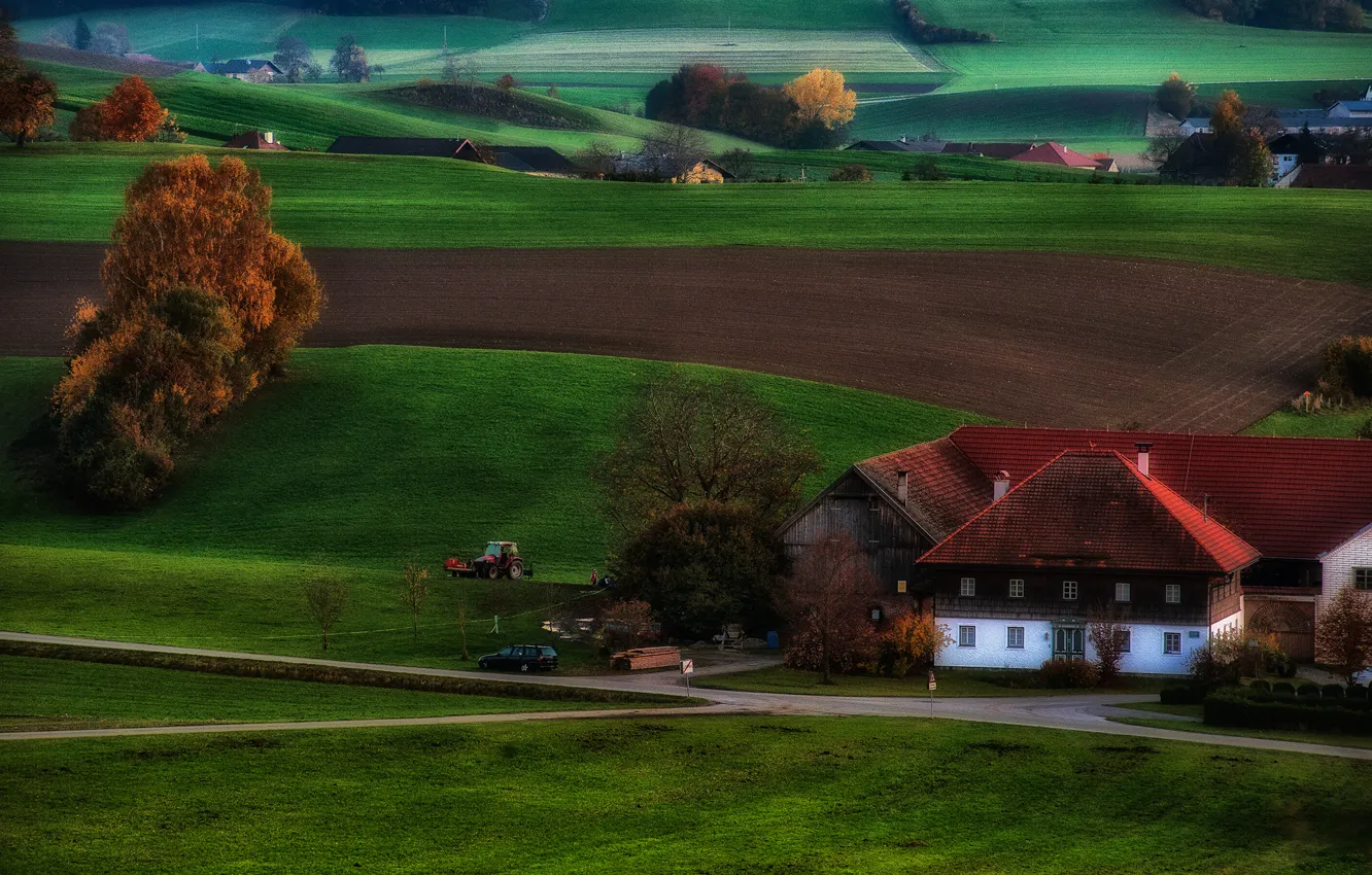 Фото обои поле, осень, трава, деревья, холмы, дома