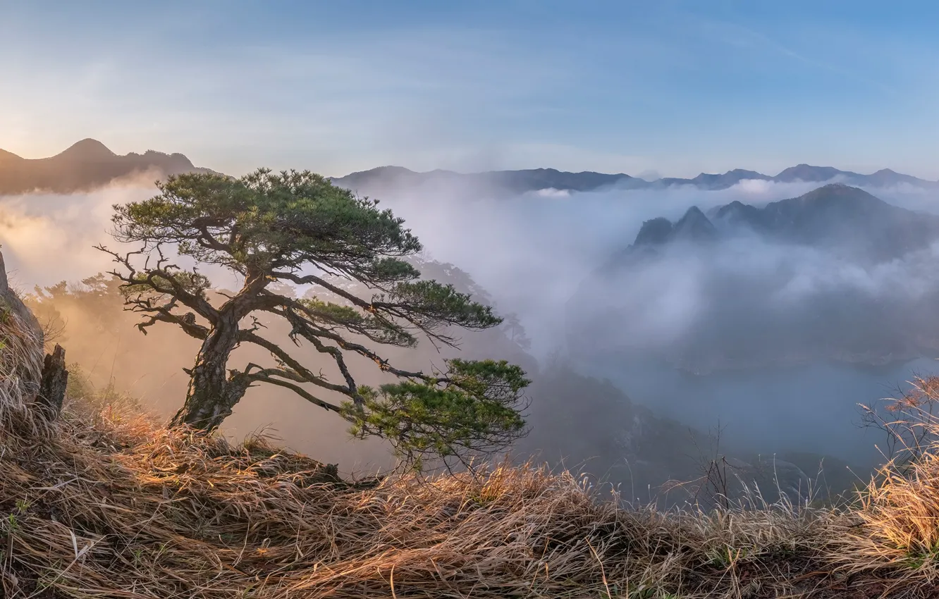 Фото обои облака, пейзаж, горы, природа, туман, дерево, Южная Корея, Jaeyoun Ryu