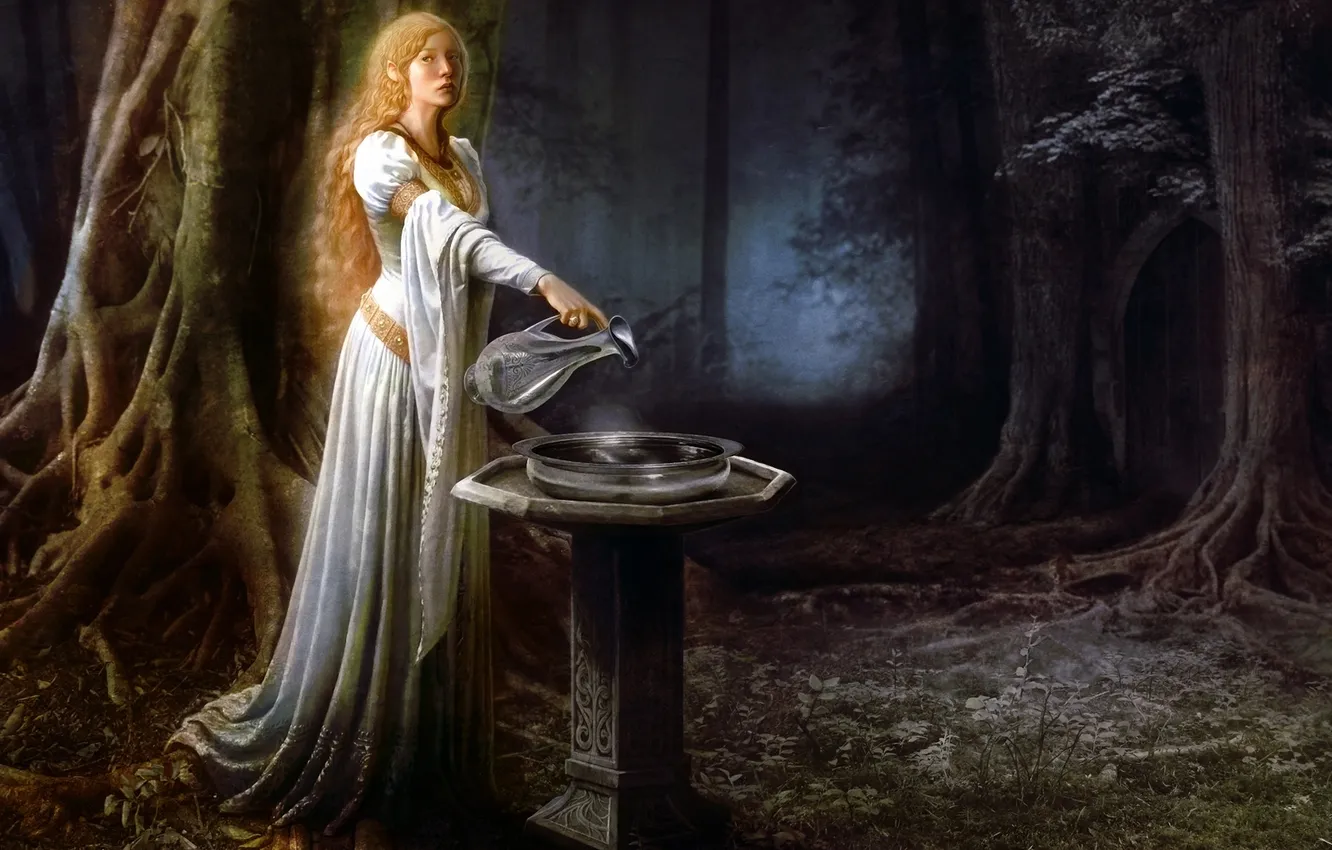 Фото обои лес, чаша, зеркало, властелин колец, арт, кувшин, эльфийка, the lord of the rings