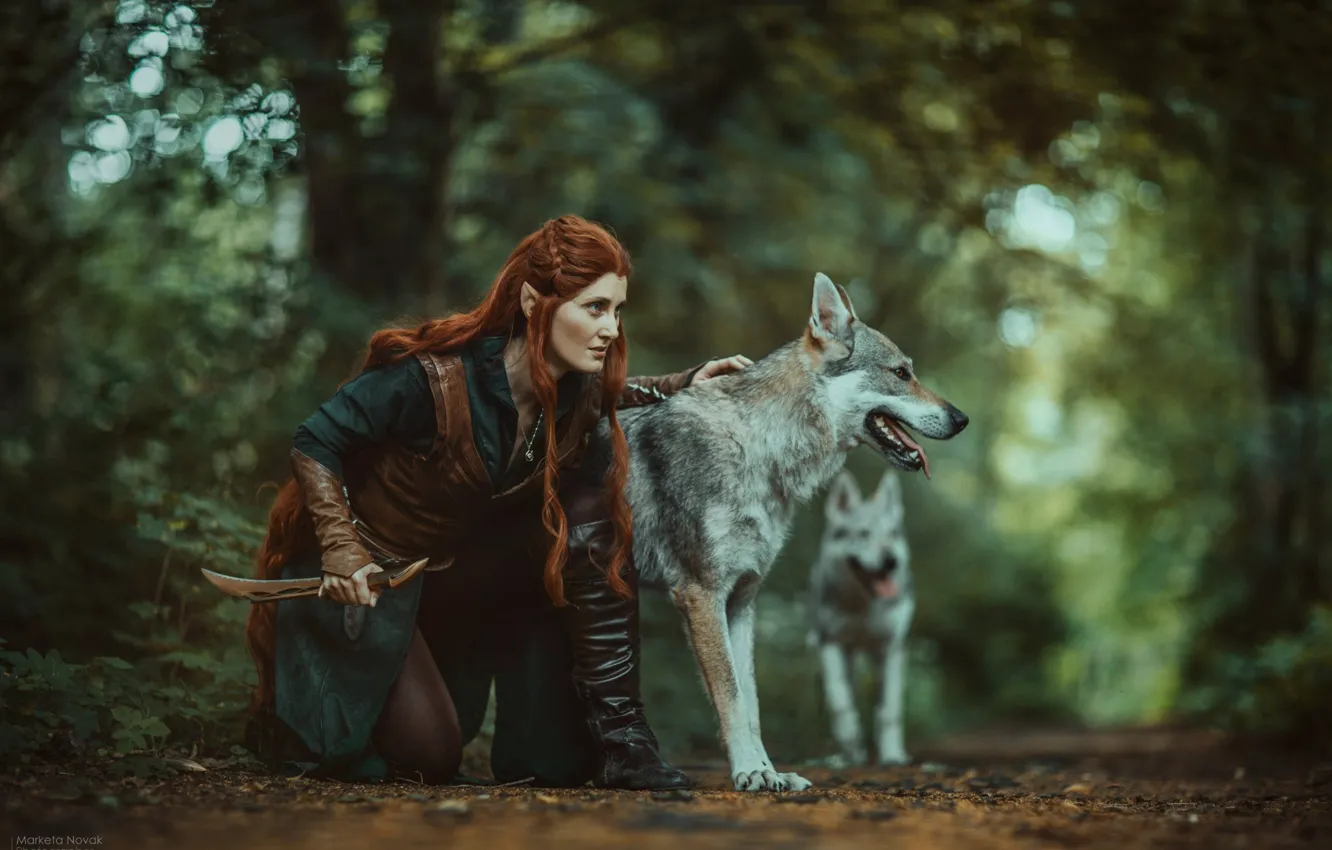 Фото обои лес, собаки, девушка, поза, нож, волки, рыжая, охотница