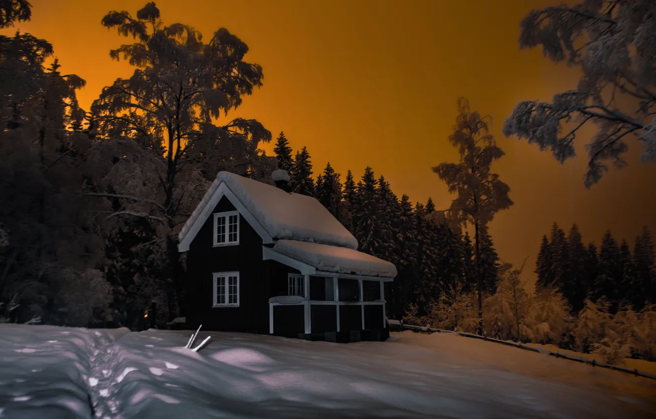 Фото обои зима, лес, снег, пейзаж, природа, дом, вечер