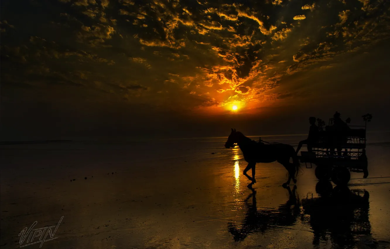 Фото обои берег, лошадь, Закат, повозка
