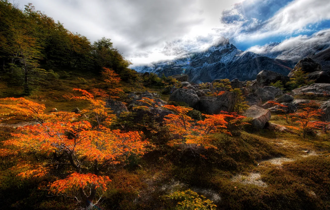 Фото обои осень, горы, скалы, mountains, аргентина, argentina, andes, анды