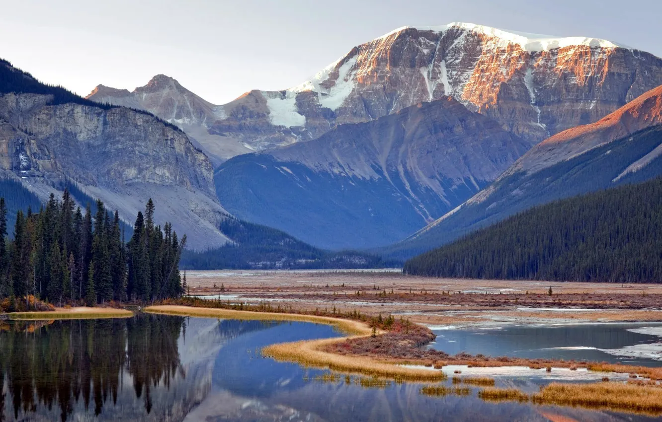 Фото обои лес, горы, озеро, Jasper, Alberta, Canada, National park