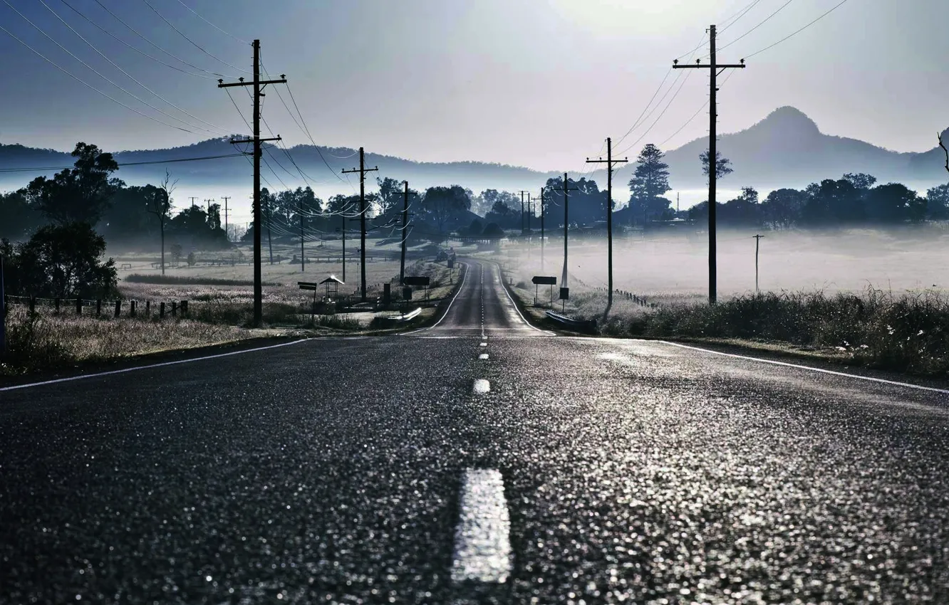 Фото обои дорога, туман, разметка, столбы, провода