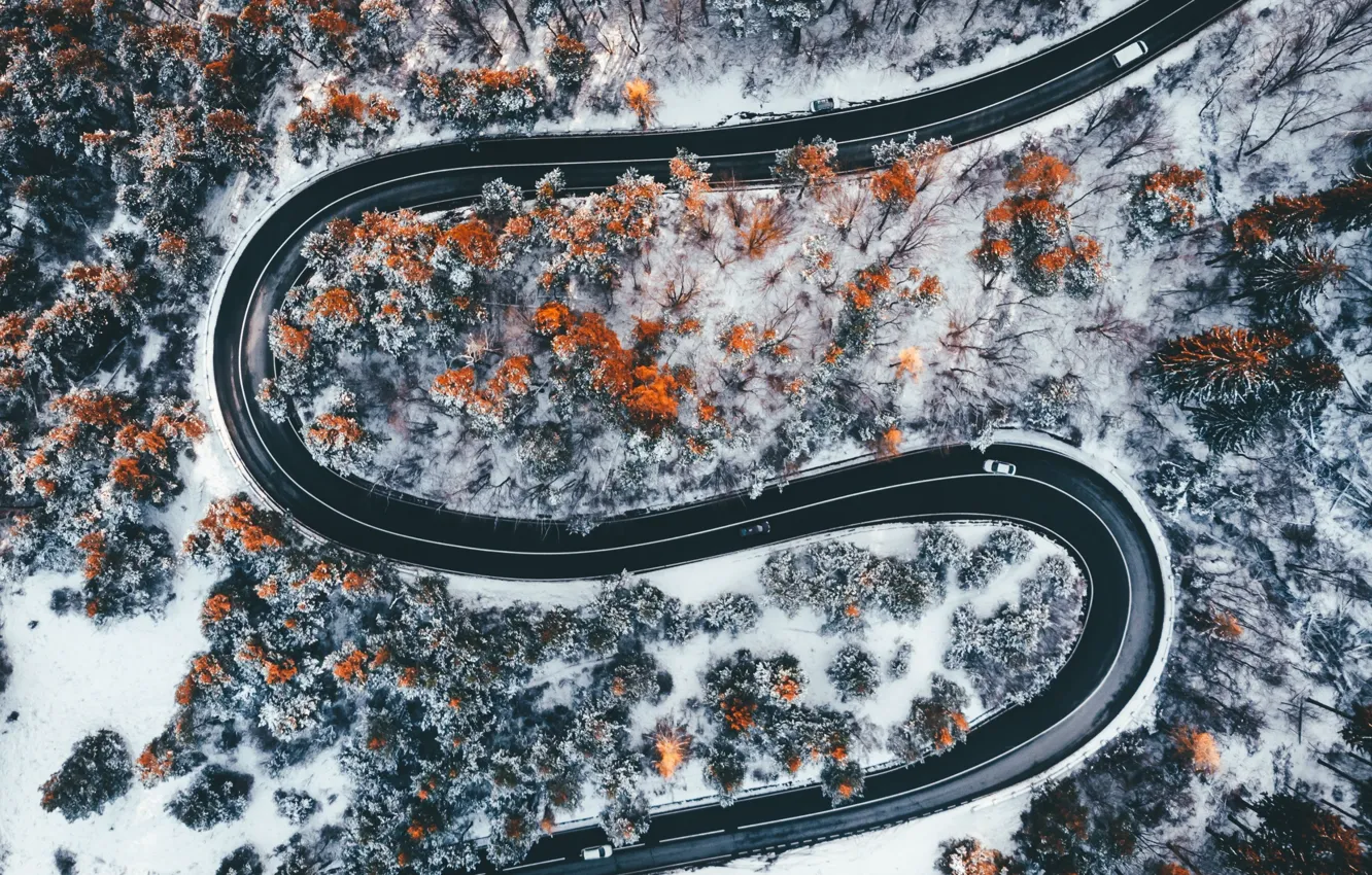 Фото обои дорога, осень, снег, деревья, горы, автомобиль