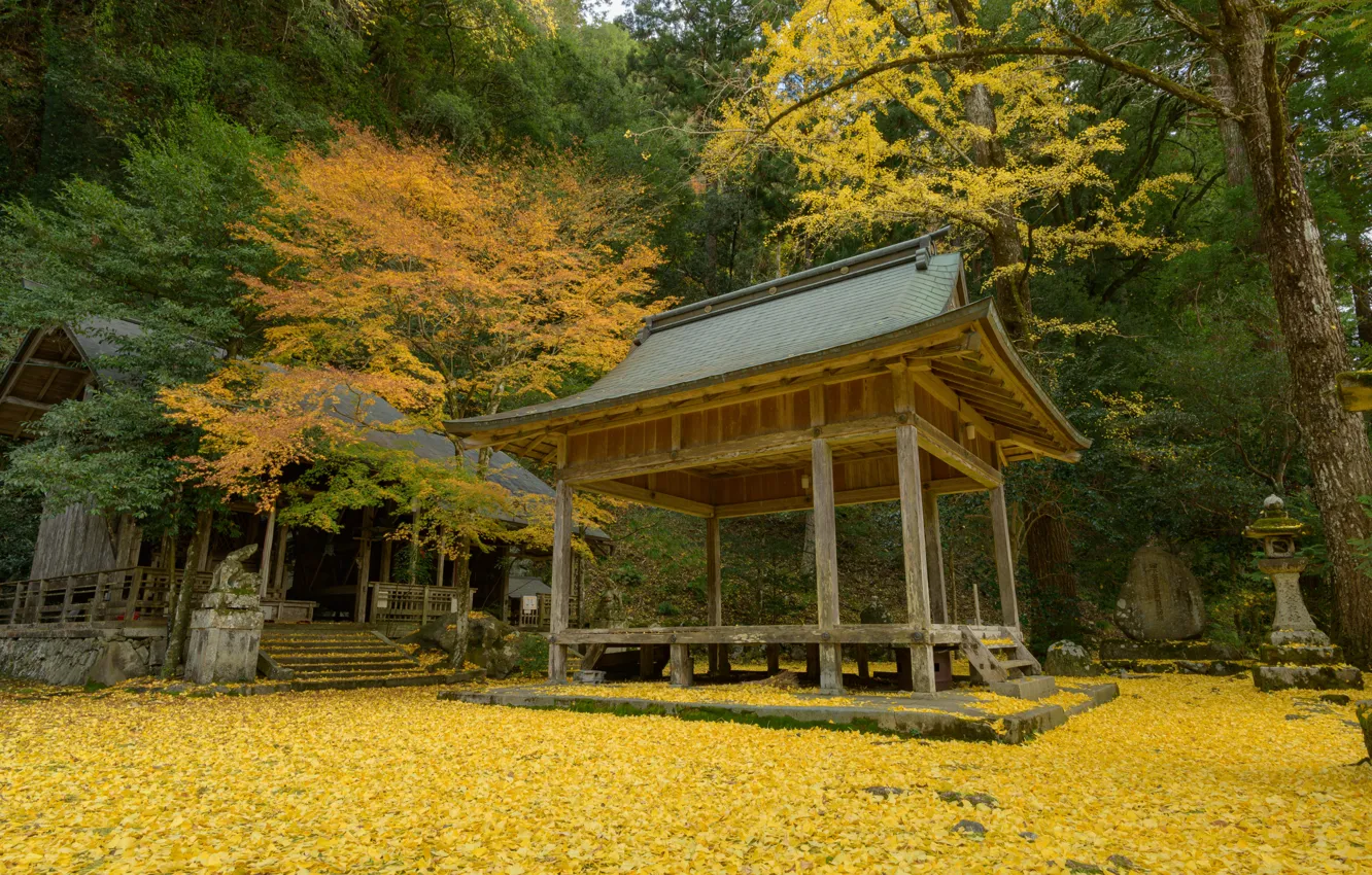 Фото обои Природа, Осень, Япония, Лес, Листья, Храм