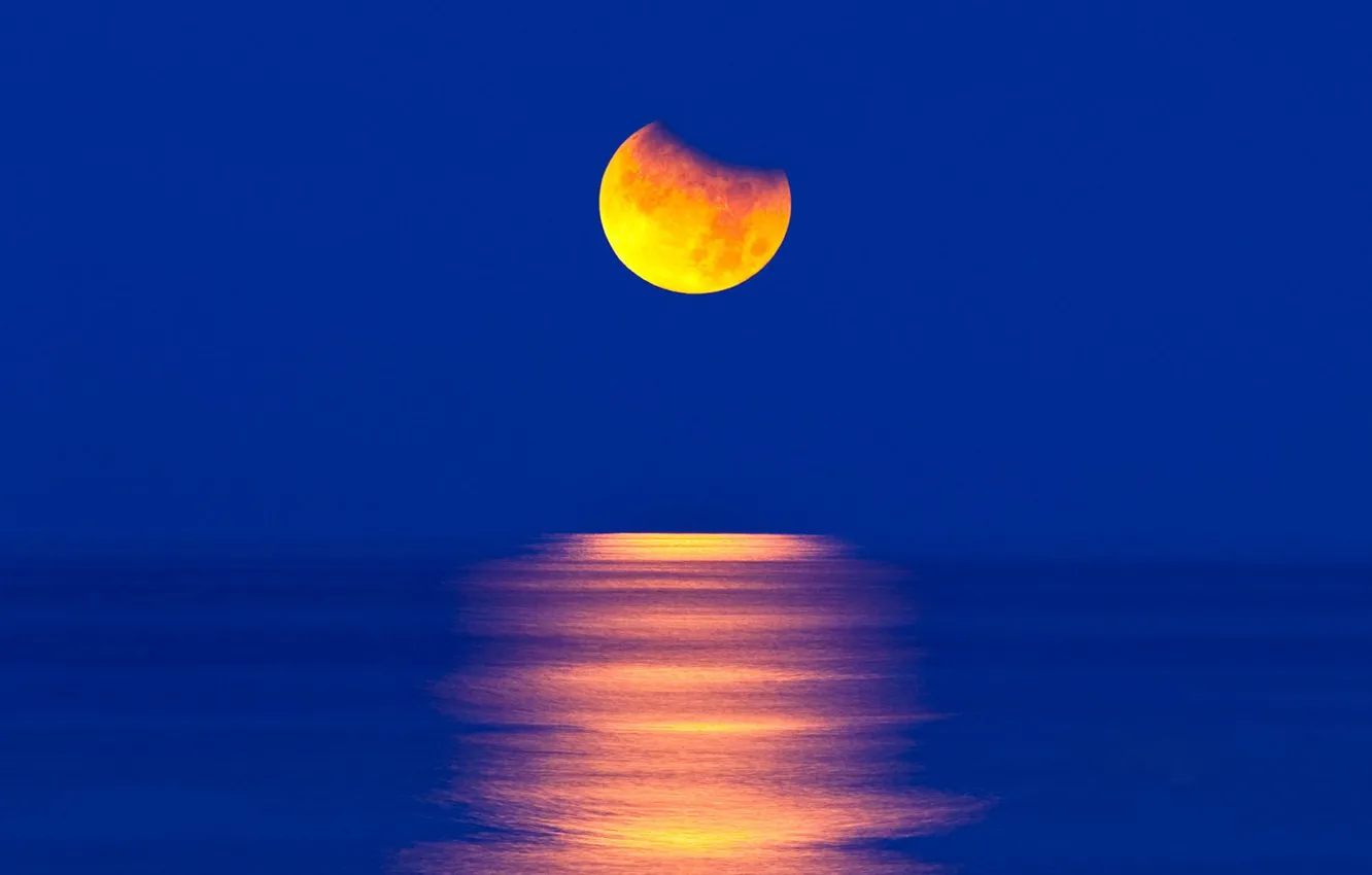 Фото обои море, небо, пейзаж, ночь, обои, луна