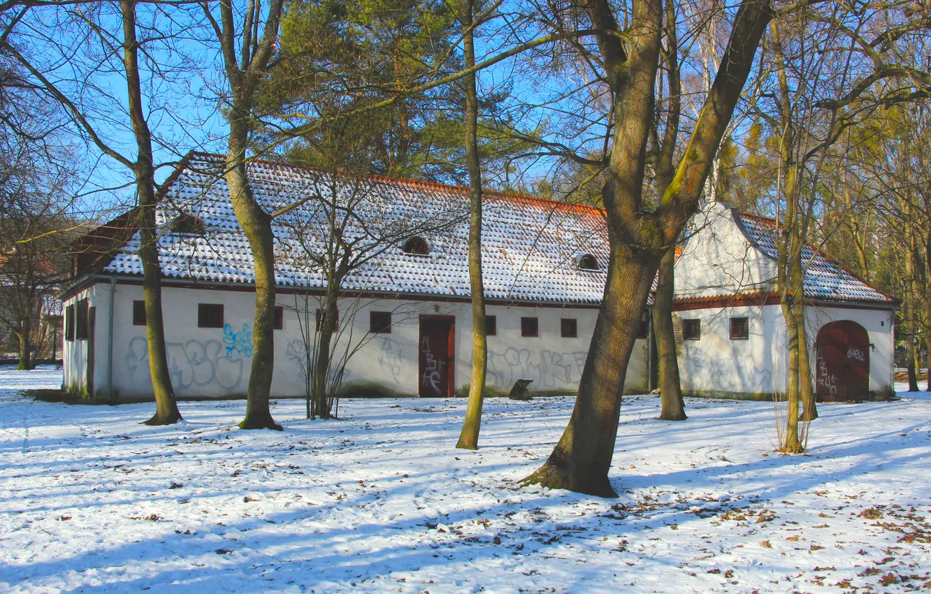 Фото обои trees, park, winter, building, historic