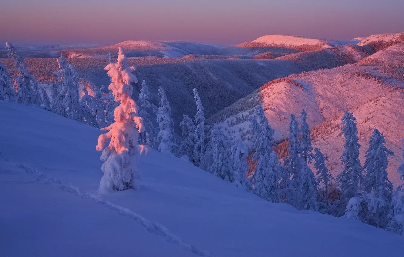 Фото обои зима, снег, пейзаж, закат, горы, природа, леса, Якутия