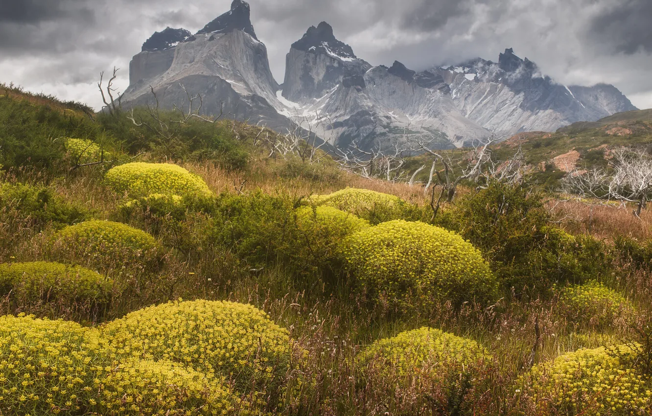 Фото обои облака, пейзаж, горы, природа, растительность, Чили, Патагония