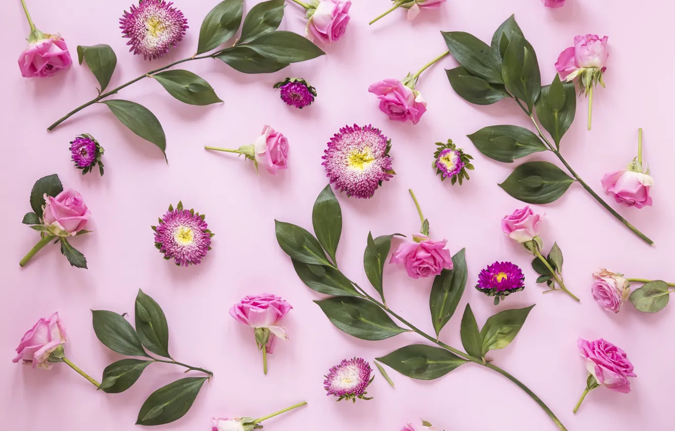 Фото обои цветы, фон, бутоны, pink, flowers
