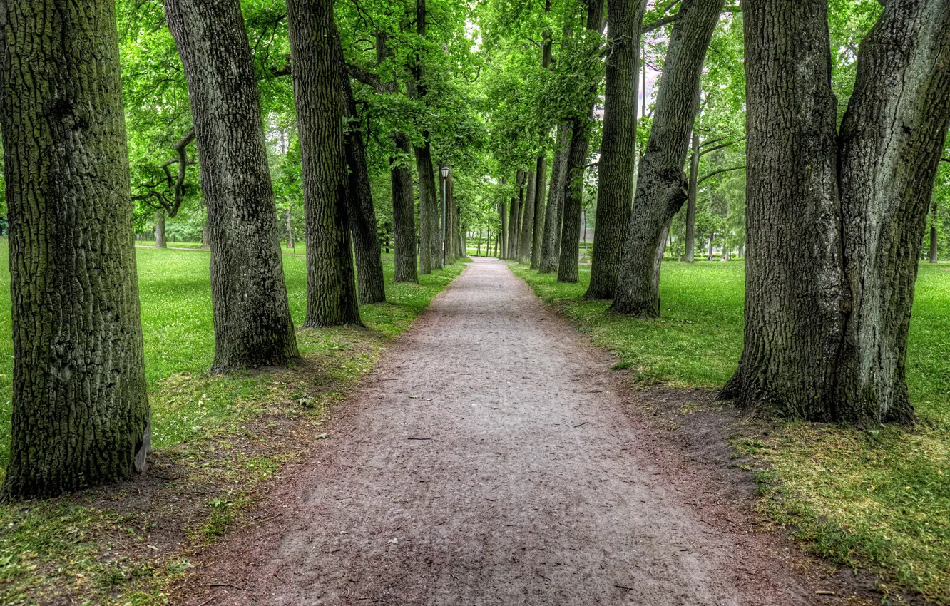 Фото обои Russia, Gatchina, Leningrad Oblast, Palace Park