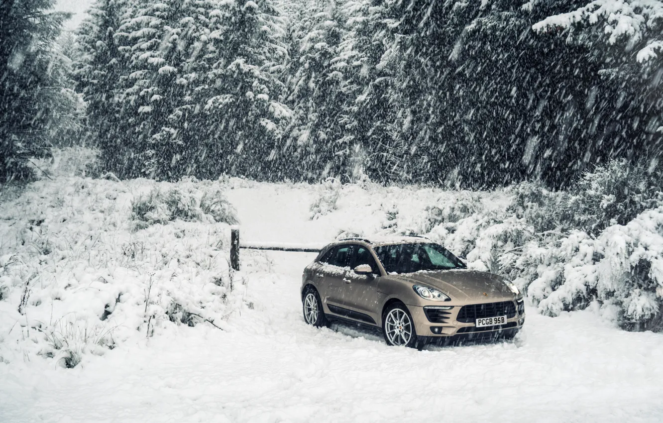 Фото обои дорога, холмы, Porsche, кроссовер, Diesel, Macan S