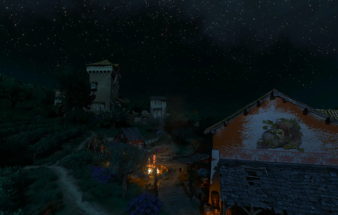 Фото обои ночь, звёзды, виноградник, the witcher 3 wild hunt, Туссент