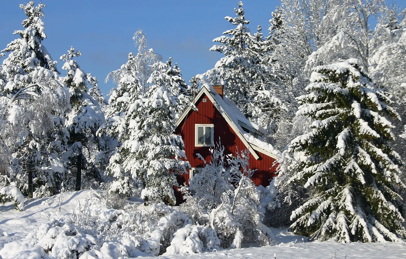 Фото обои зима, деревья, дом