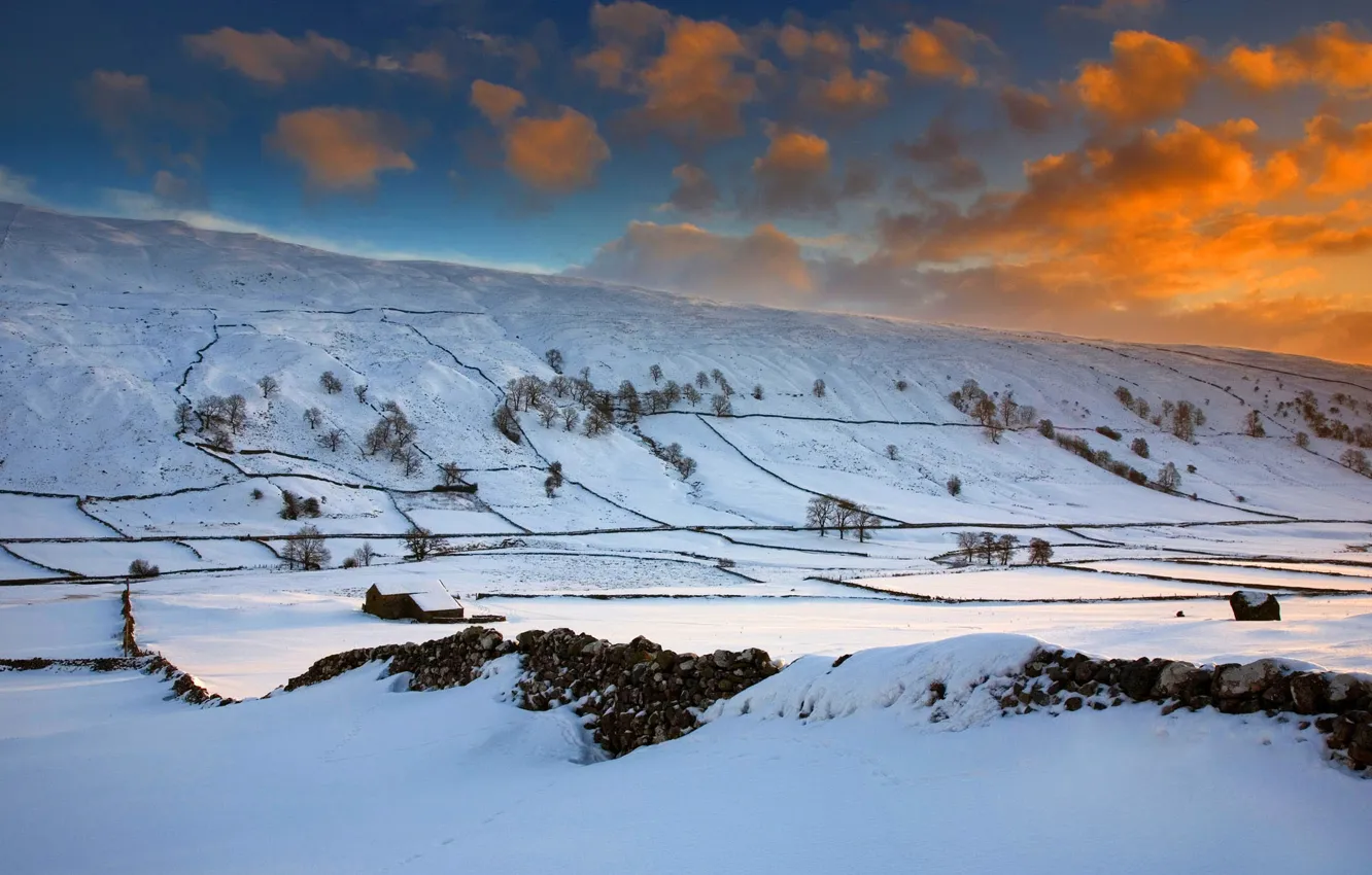 Фото обои зима, поле, небо, облака, снег, деревья, закат, холмы
