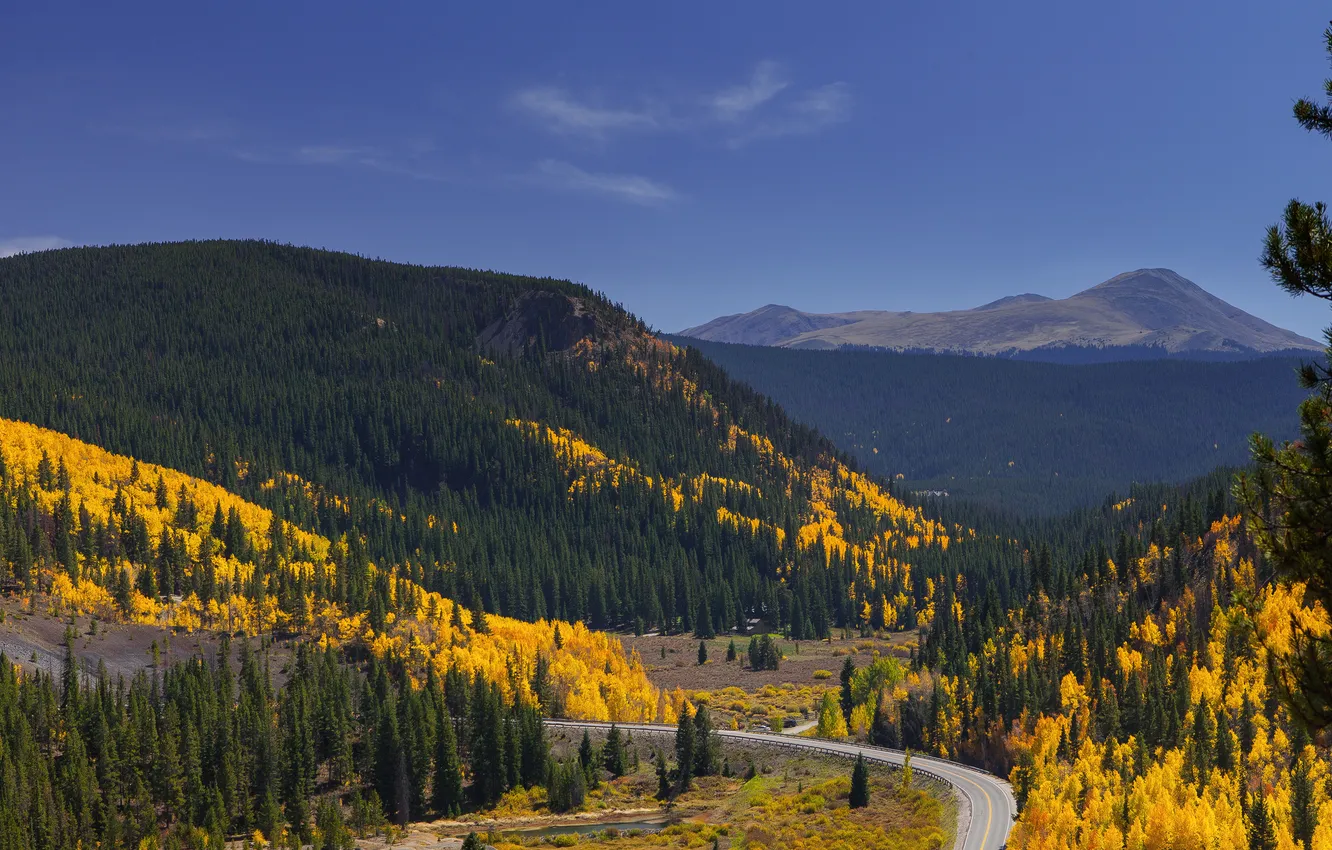 Фото обои дорога, осень, лес, небо, деревья, горы