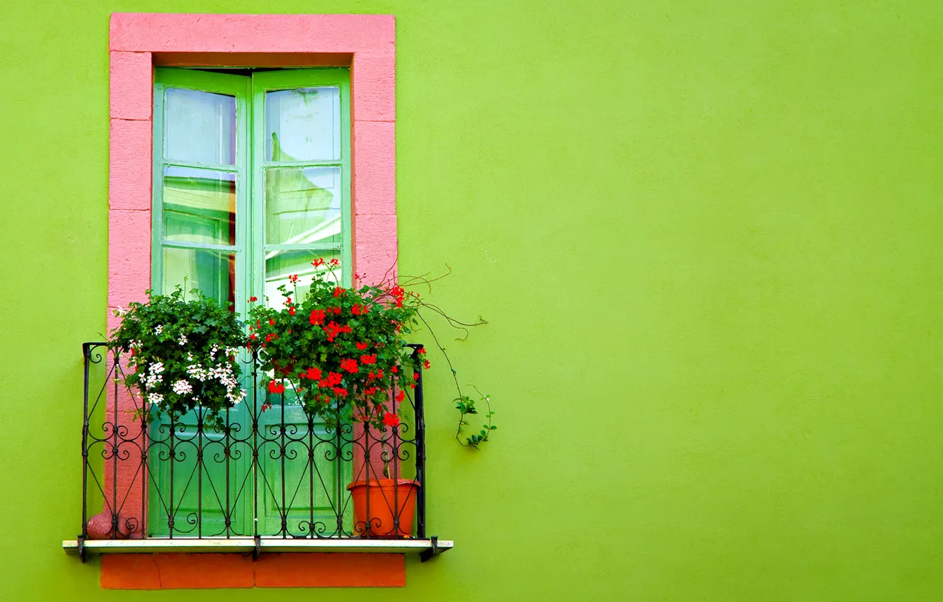 Фото обои цветы, стена, двери, балкон, салатовая
