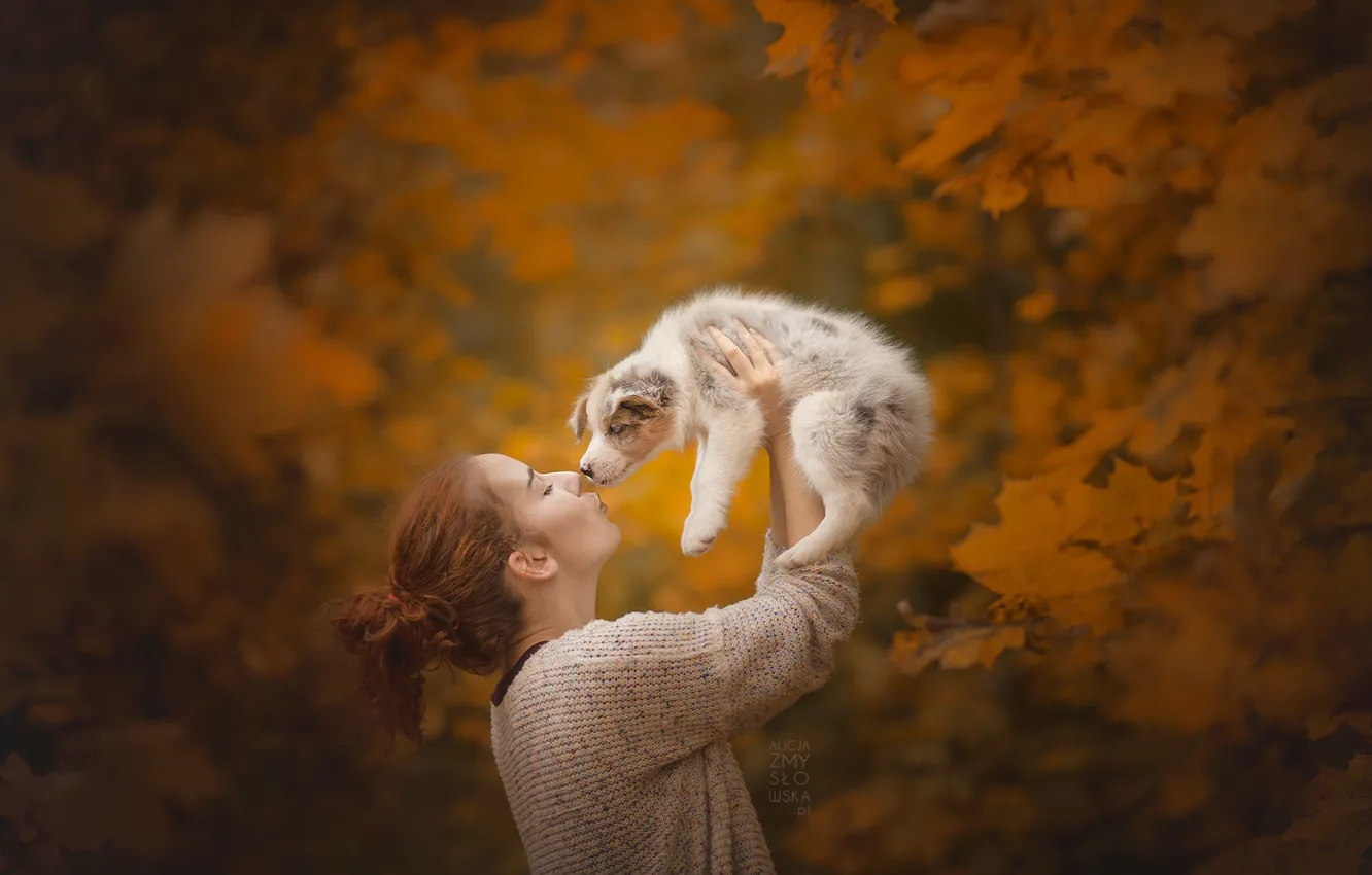 Фото обои осень, девушка, щенок